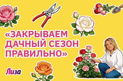 Не забудь сделать это осенью на даче: 5 важных дел в саду перед зимой