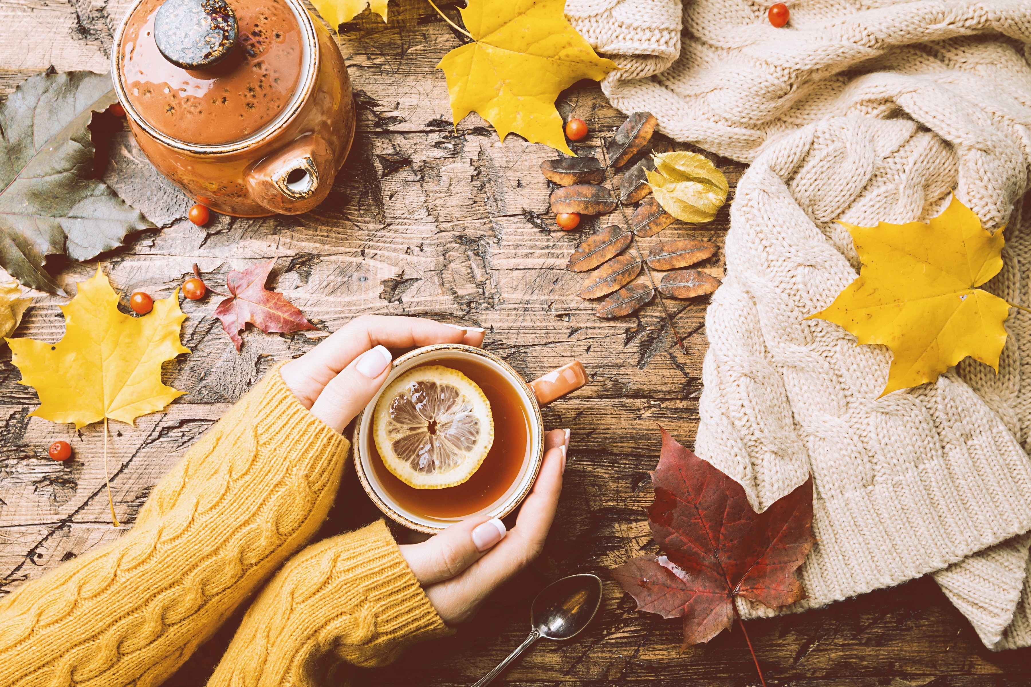 Горячий чай руки листья осень