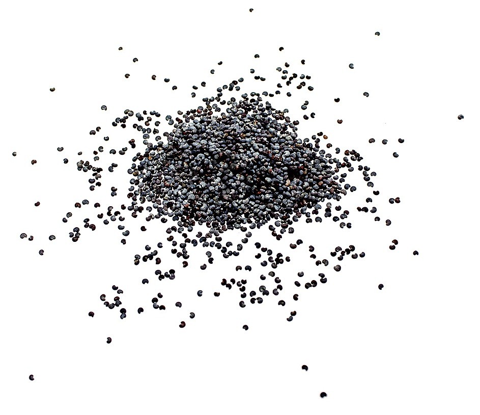 Мак пищевой кондитерский. Мак пищевой голубой чехия. Мак тиа производитель. Мак пищевой. Черный сахар.