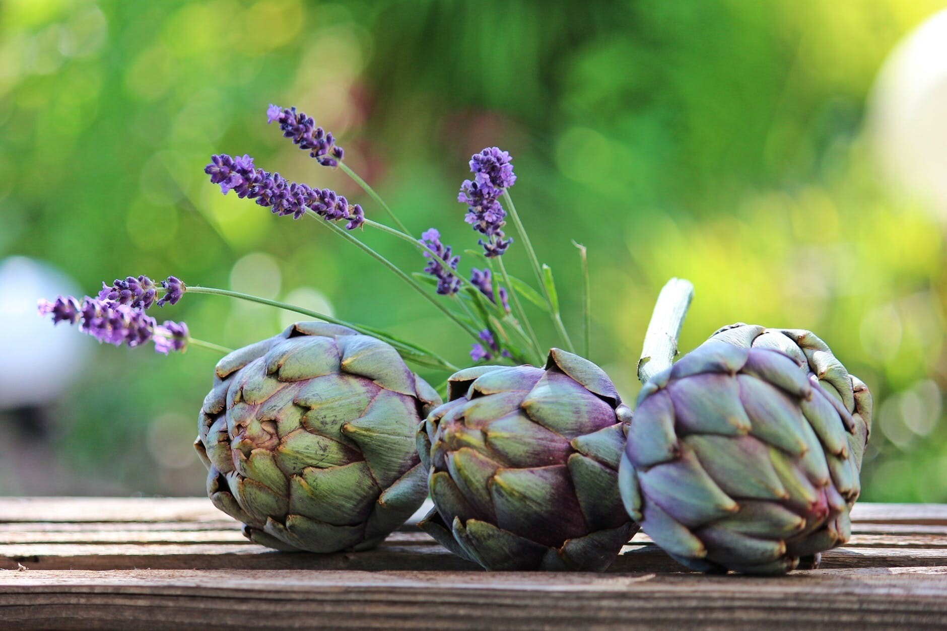 Вьетнамская вытяжка из артишока (смола) 100 гр / Van Ann artichoke 100g