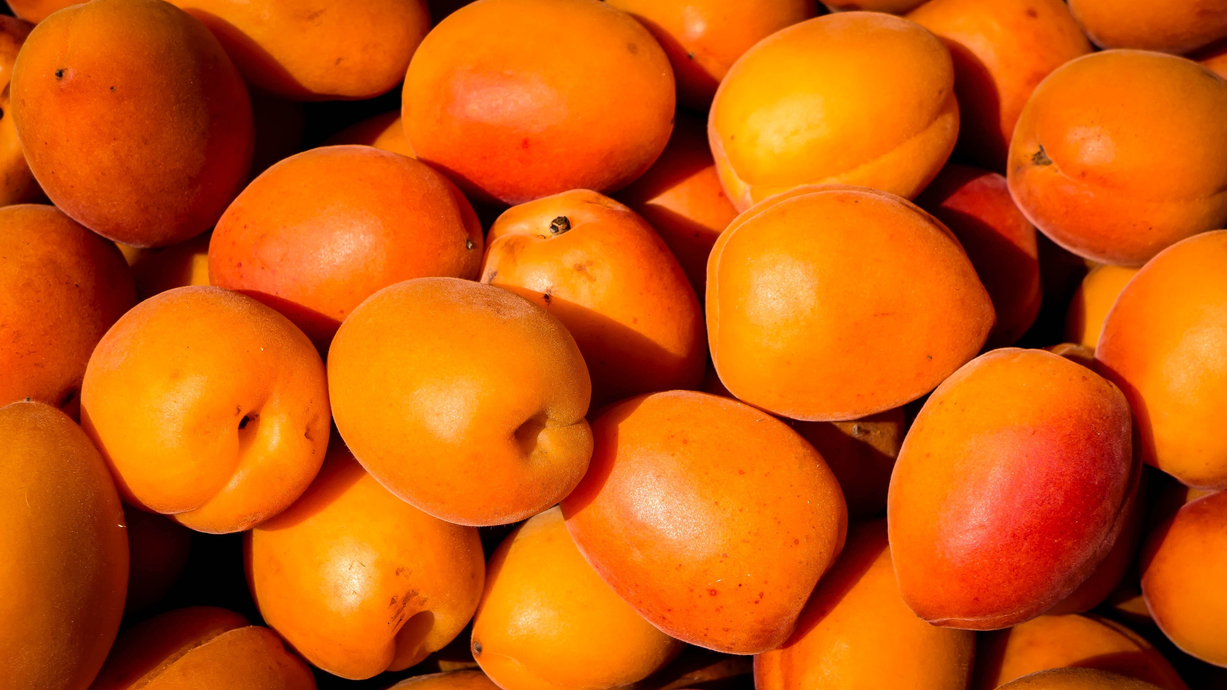 Apricot orange. Абрикос Шалах. Абрикос Шалах дерево. Хурма абрикос. Абрикос Ананасный.