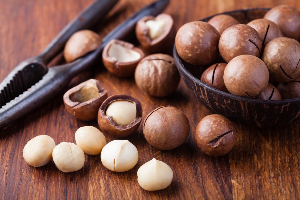 Макадамия орех свойства для мужчин. Мадагаскарский орех. Macadamia Nuts. Макадамия орех дерево. Африканский орех макадамия.