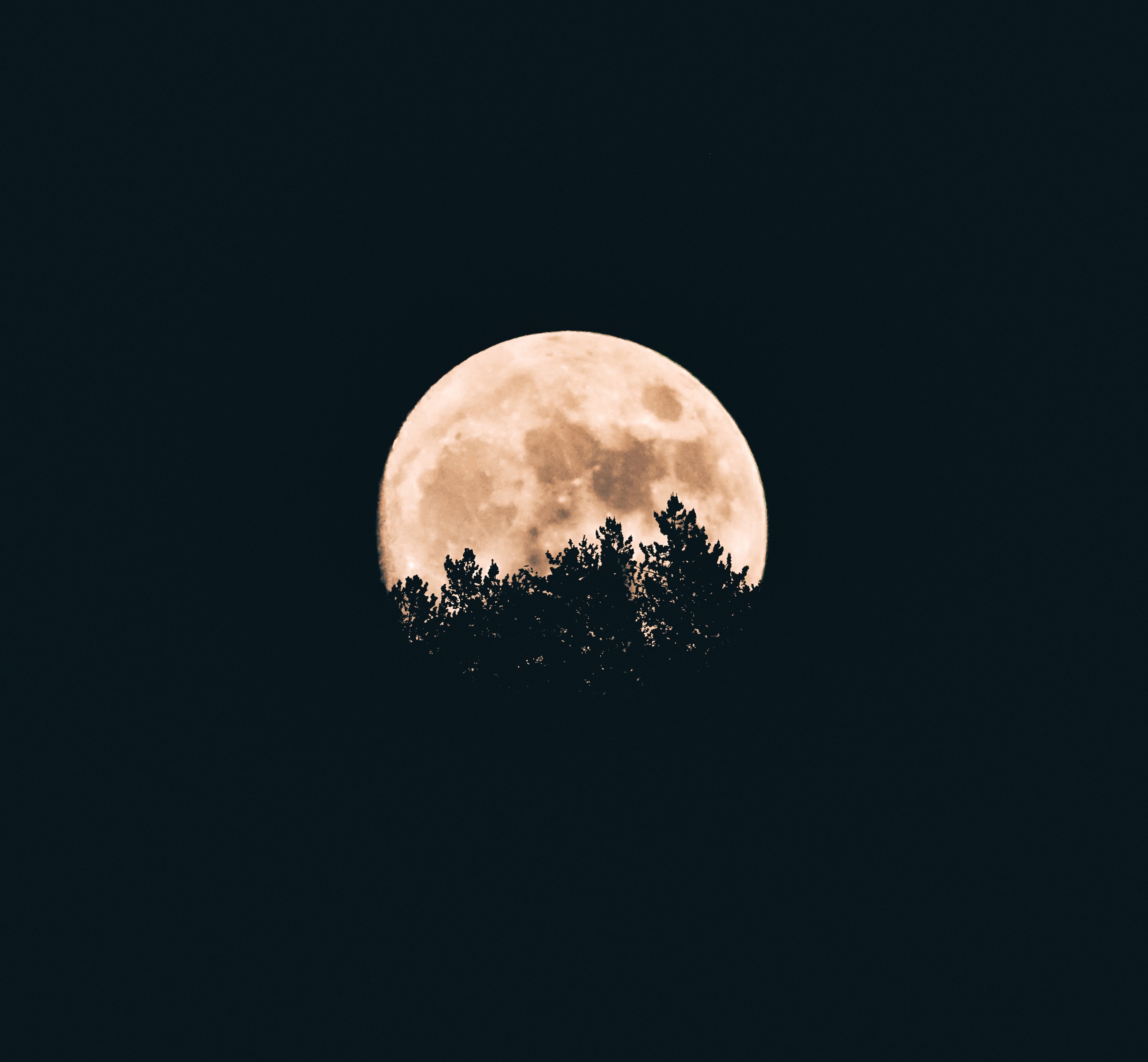 4 фазы Луны: что они значат и как влияют на нас
