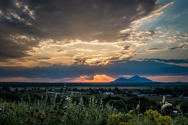 Фото: pixabay.com