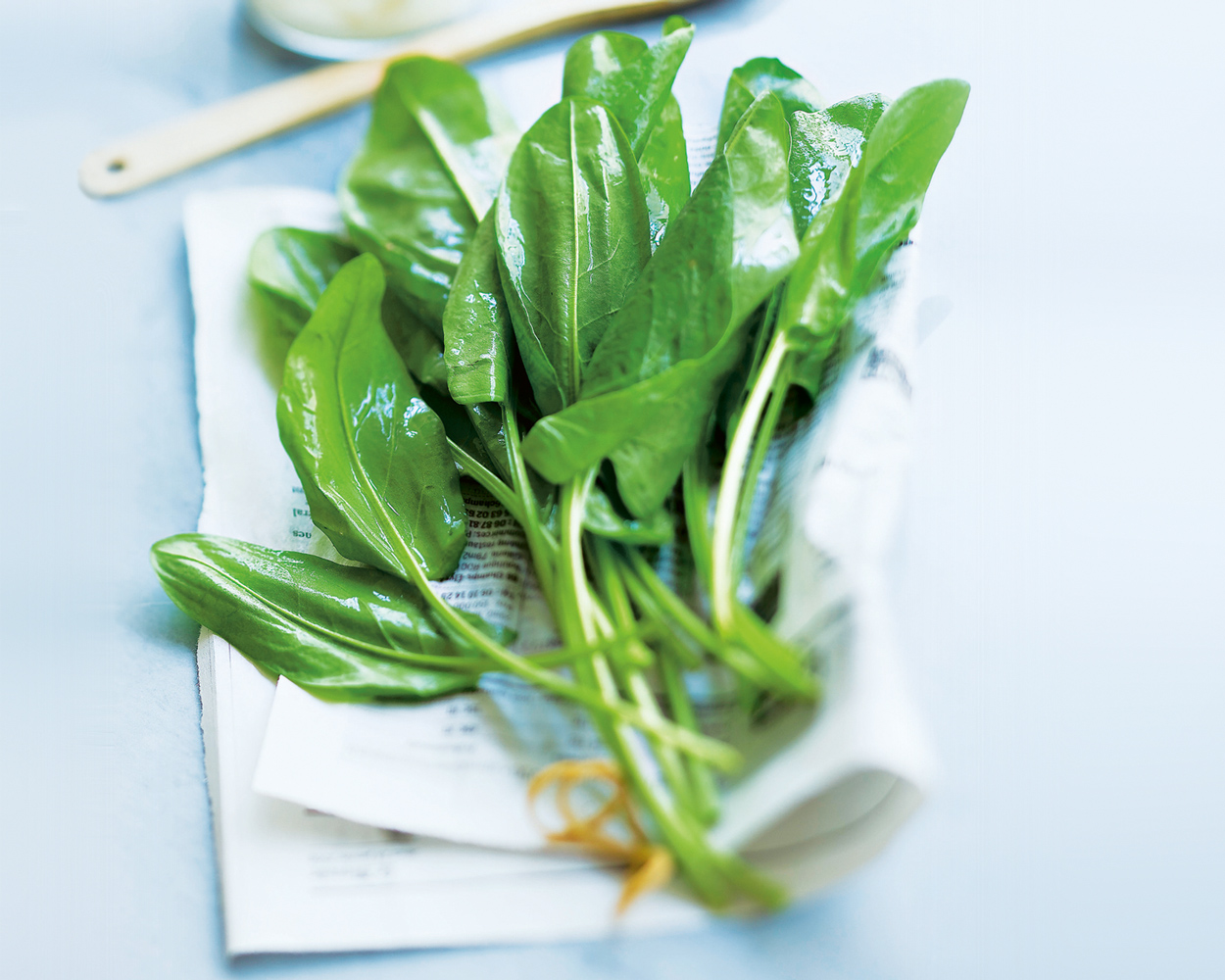 Весенняя зелень на столе: лучшие витаминные рецепты