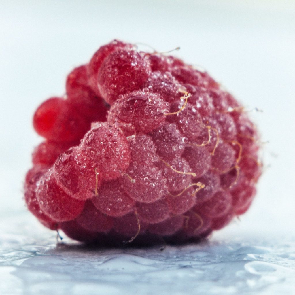 Как правильно замораживать ягоды на зиму