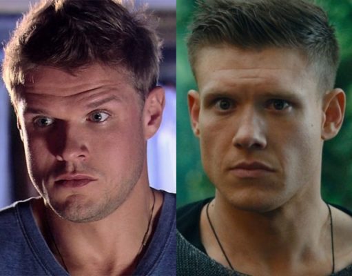 Яглыч и хориняк сходство фото сравнение изображение 186